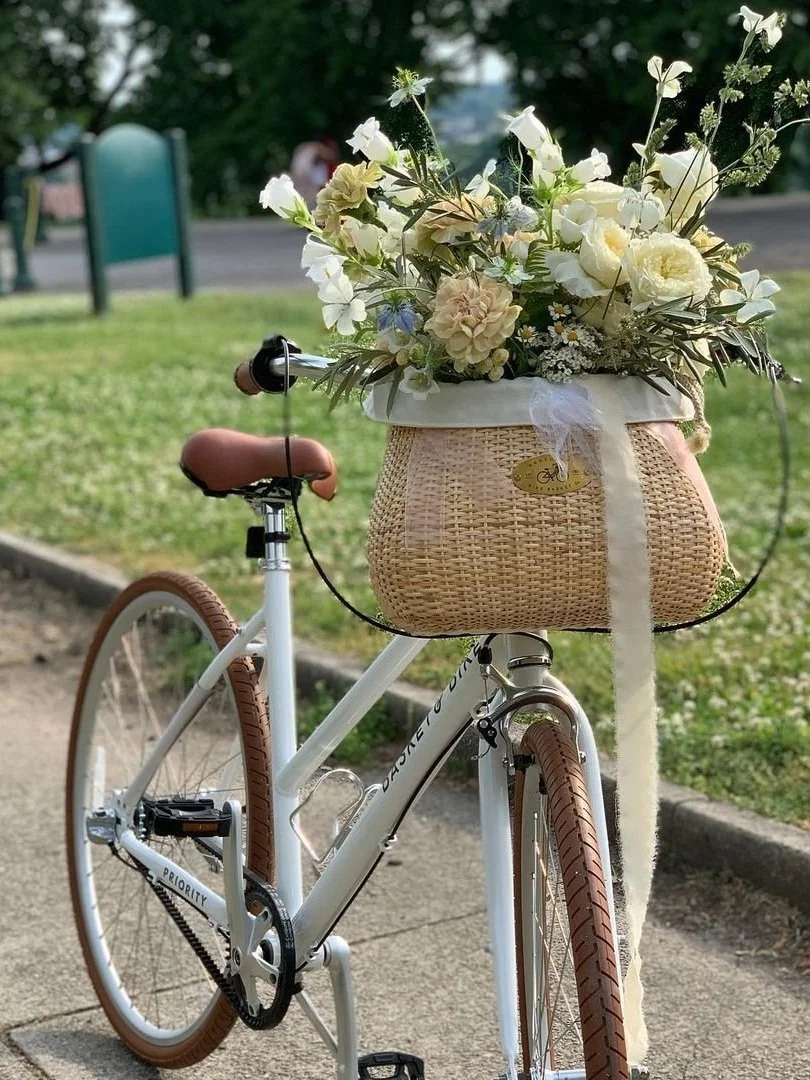 Bicycle with top a basket